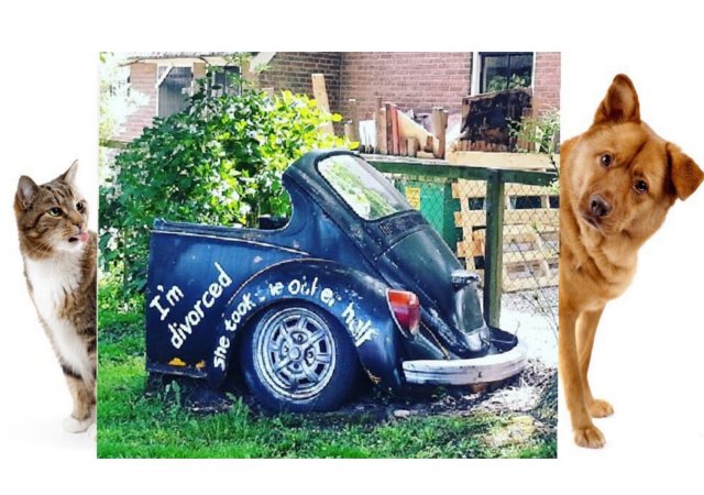 Not My Dog? Atlanta Division of Marital Property